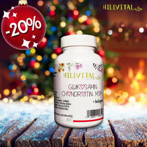 HillVital Glukosamin, MSM, Chondroitin - kloubní výživa, 60 ks - Novoroční akce