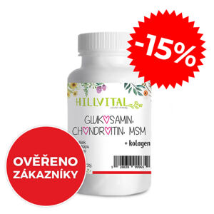 HillVital Glukosamin, MSM, Chondroitin - kloubní výživa, 60 ks - Jarní slevy
