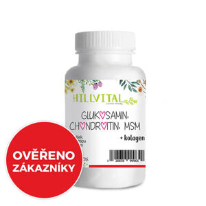 HillVital Glukosamin, MSM, Chondroitin - kloubní výživa, 60 ks