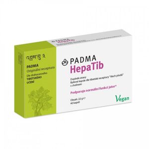 HepaTib - játra a metabolismus s cholinem, 40 kapslí